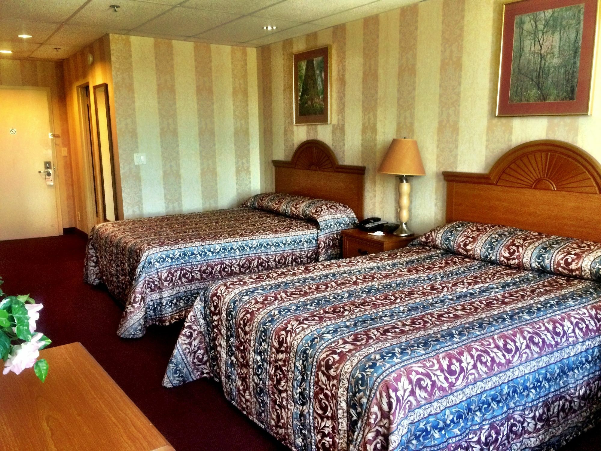 Amsterdam Hotel Стэмфорд Экстерьер фото